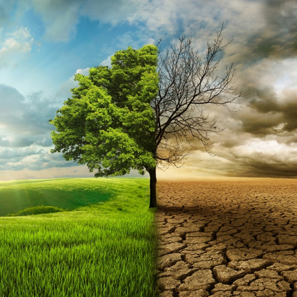 Qualcosa muta... anche ne